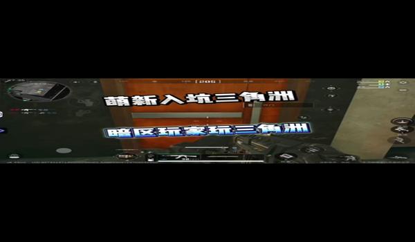 三角洲手机端辅助教程（有三角洲手机端更详细的辅助教程吗？）